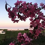Paeevatalu Vilusi