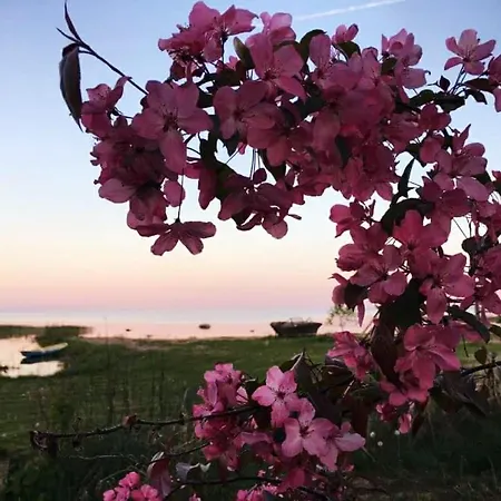 Paevatalu Camping Vilusi