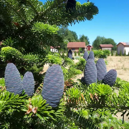 Paeevatalu Camping