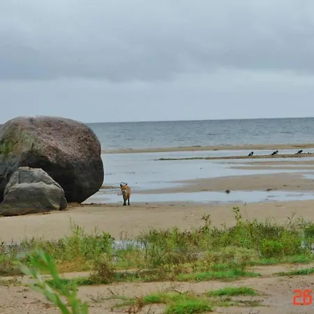 Campsite Paevatalu Camping