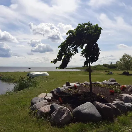 Campsite Paevatalu Camping *