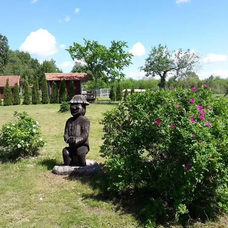 Paevatalu Camping Campsite
