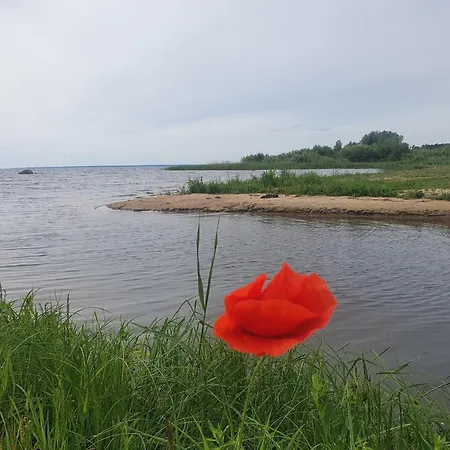 Campsite Paevatalu Camping *