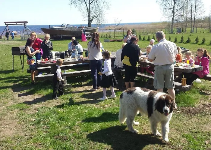 Paevatalu Camping Laagriplats *