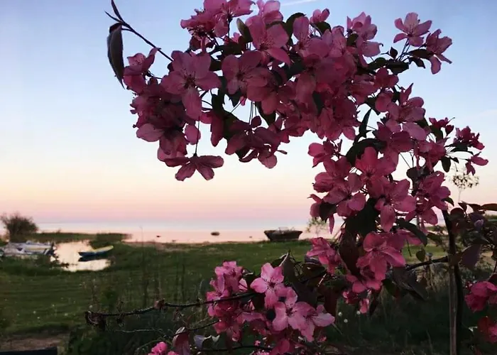 Paevatalu Camping Vilusi