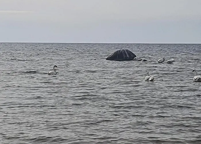 Paevatalu Camping Laagriplats Vilusi