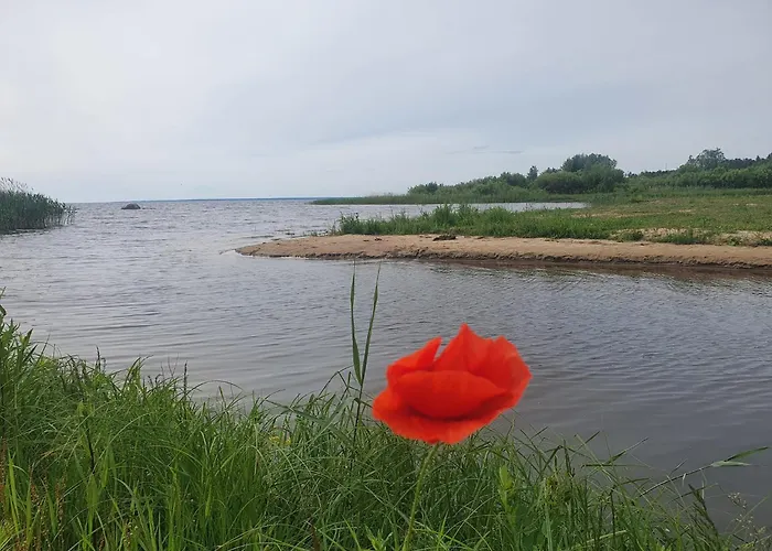 Laagriplats Paevatalu Camping *